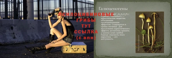 спиды Липки