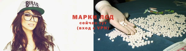 спиды Лиски