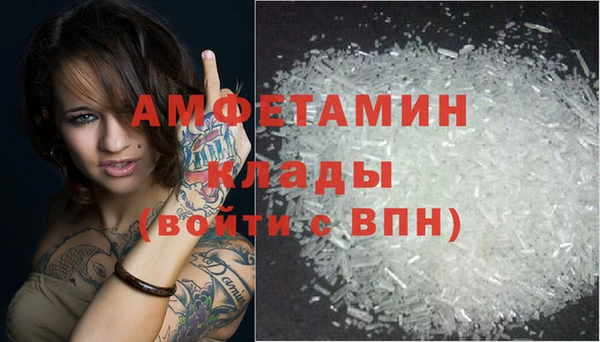 шишки Майский