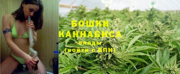 спиды Лиски