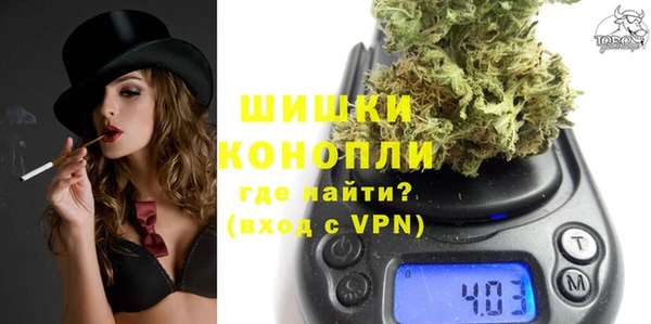 шишки Майский