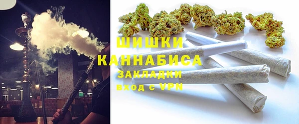 шишки Майский