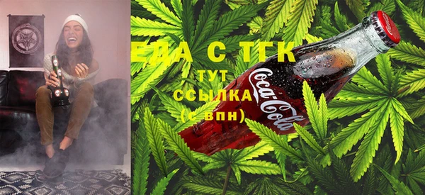 шишки Майский